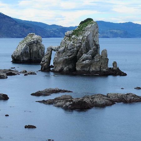 Apartamntos Urdaibai 3 Bermeo Dış mekan fotoğraf